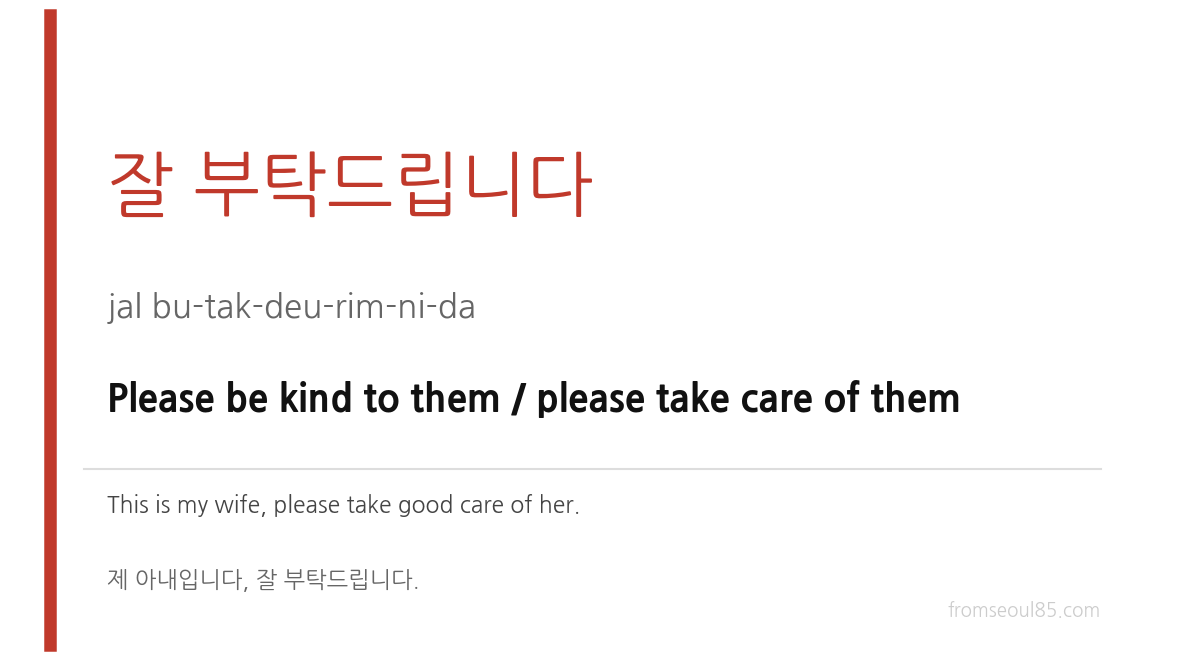 쟐 부탁드립니다 (jal bu-tak-deu-rim-ni-da) — Please be kind to them / please take care of them
