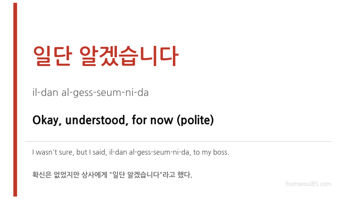 일단 알겠습니다 (il-dan al-gess-seum-ni-da) — Okay, understood, for now (polite)